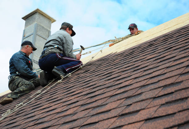 Best Roof Gutter Cleaning  in Ashton, ID